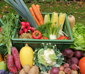 Verschiedene Obst- und Gemüsesorten in Transportkiste
