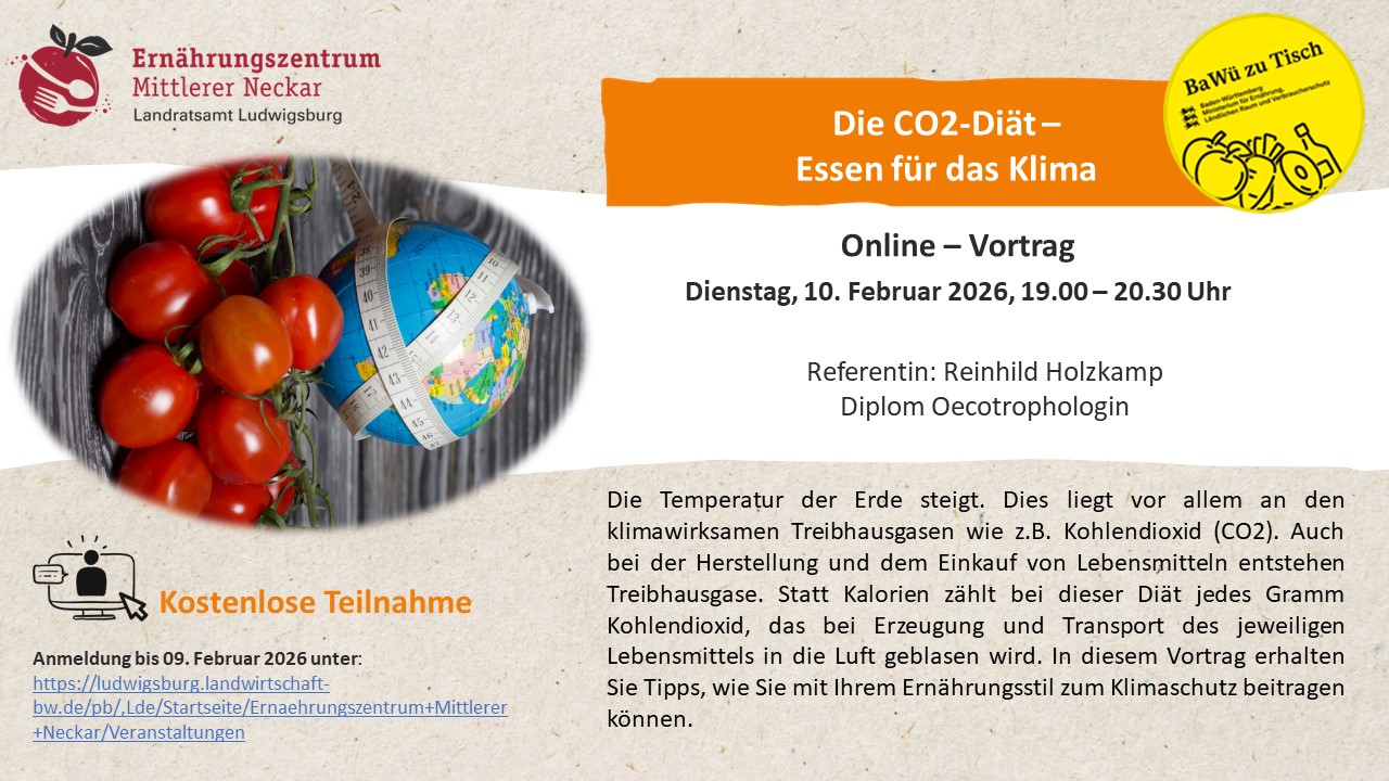 Online-Vortrag