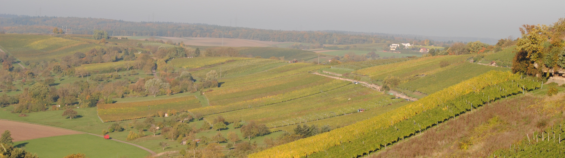 Landschaft Weinberge im Herbst, Fotowettbewerb Landinfo 2014