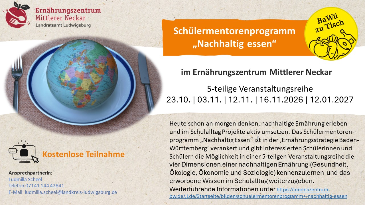 Schülermentorenprogramm