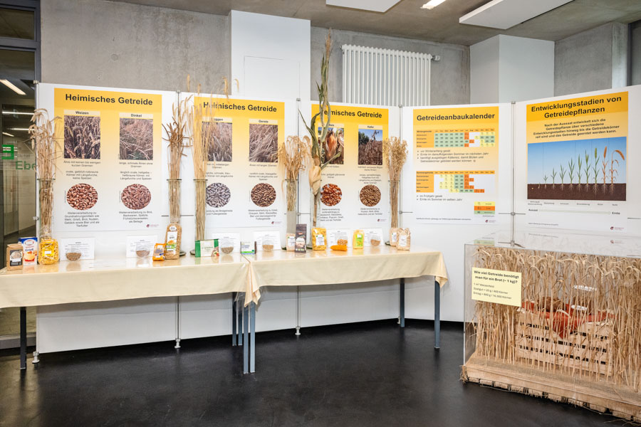 Aufbau zur Lehrschau mit Plakaten und Anschauungsmaterial