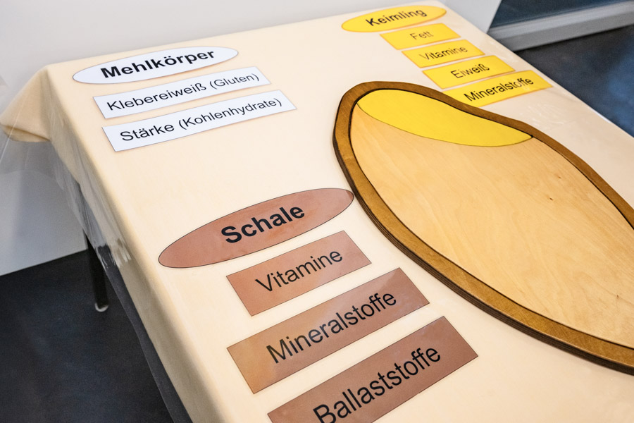 Aufbau zur Lehrschau mit Plakaten und Anschauungsmaterial