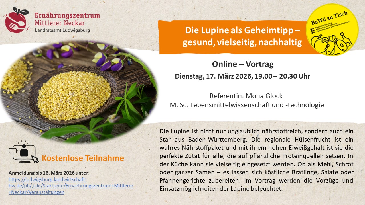 Online-Vortrag