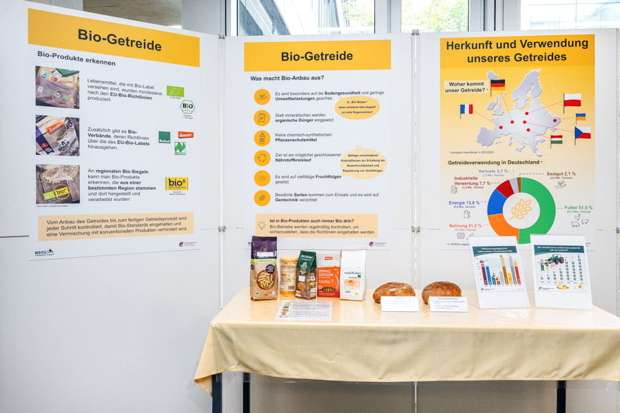 Aufbau zur Lehrschau mit Plakaten und Anschauungsmaterial