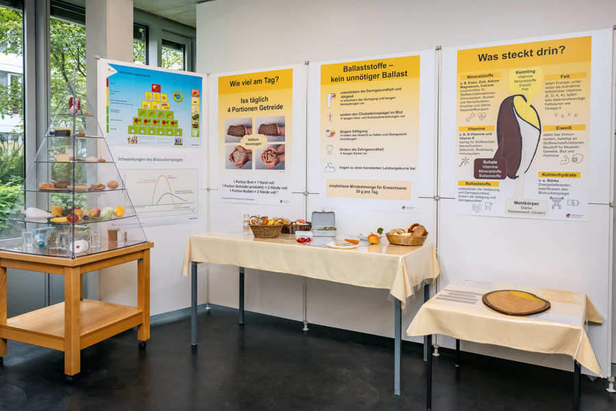 Aufbau zur Lehrschau mit Plakaten und Anschauungsmaterial