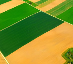 landwirtschaftliche Felder